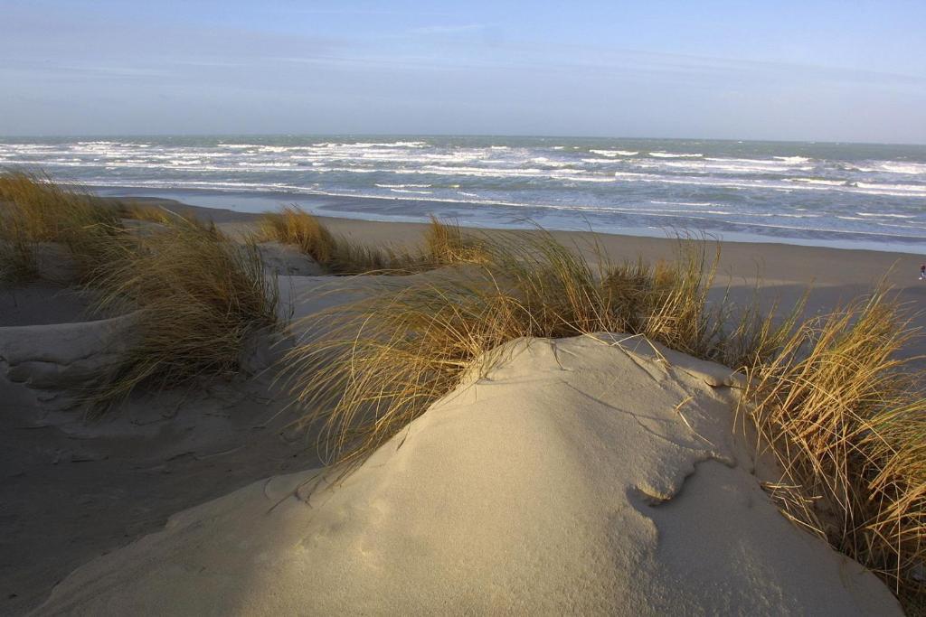 Logis Auberge De La Dune - Hotel & Restaurant Le Crotoy Exteriör bild
